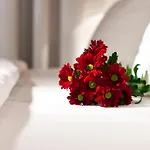 فندق Dahlia براغ