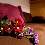 Dahlia براغ