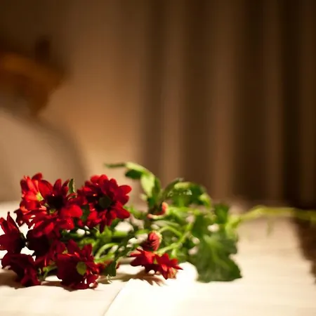 Dahlia Hotel 3*