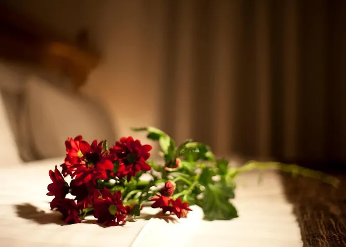 Dahlia Hotel 3*